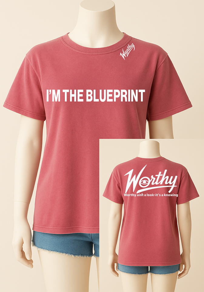 You're not the copy. You're the code.
The Blueprint Tee is for the ones who were never meant to follow trends — because they are the standard.
Front quote:
“I’M THE BLUEPRINT”
No explanation needed. You are the example, the evidence, the elevation.